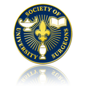 Recognition Pins