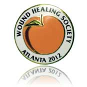 WHS 2012 Pin
